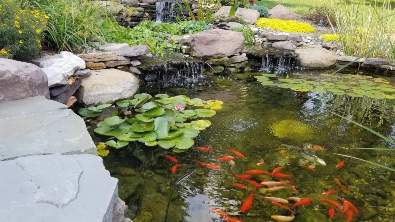 Water Features — Garden Creations project photography, thumbnail 3