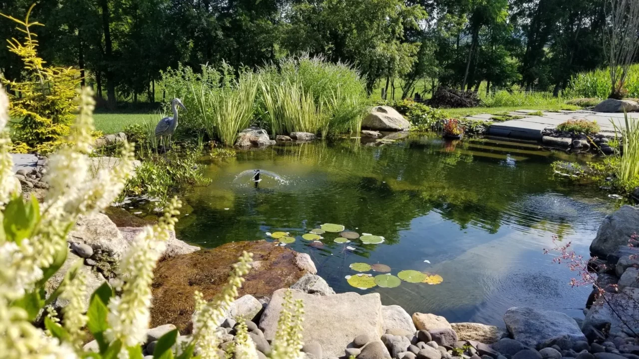 A waterfall you hear from the patio