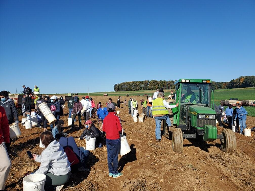 Community work with First Fruits Farm