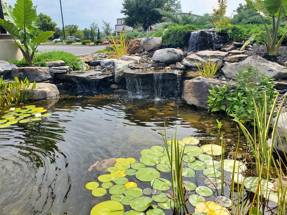 Water Features — Garden Creations project photography, thumbnail 8