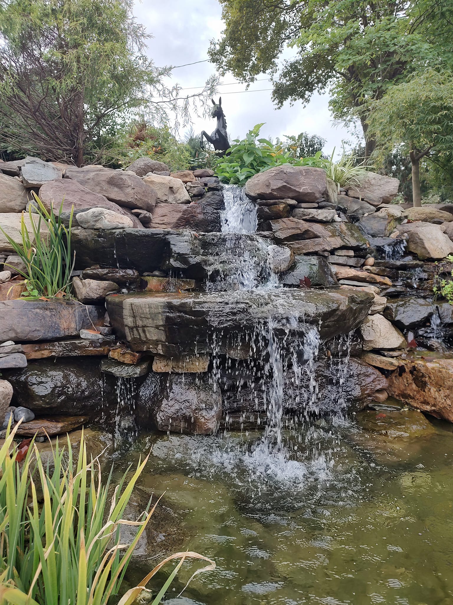 Pergolas — Garden Creations project photography, thumbnail 5