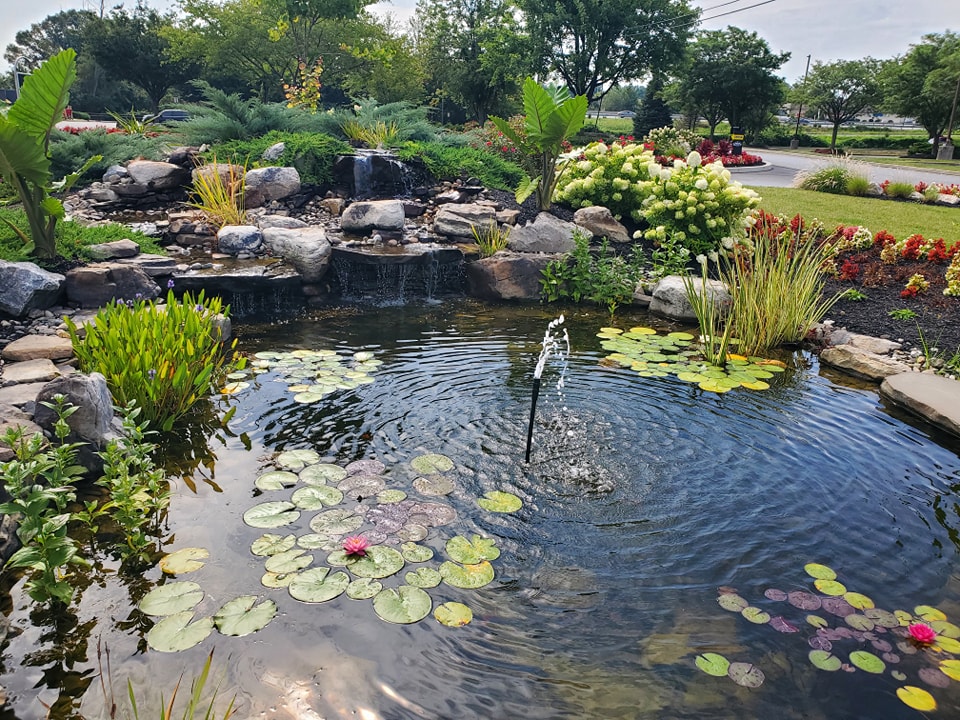 Water Features — Garden Creations project photography, thumbnail 9