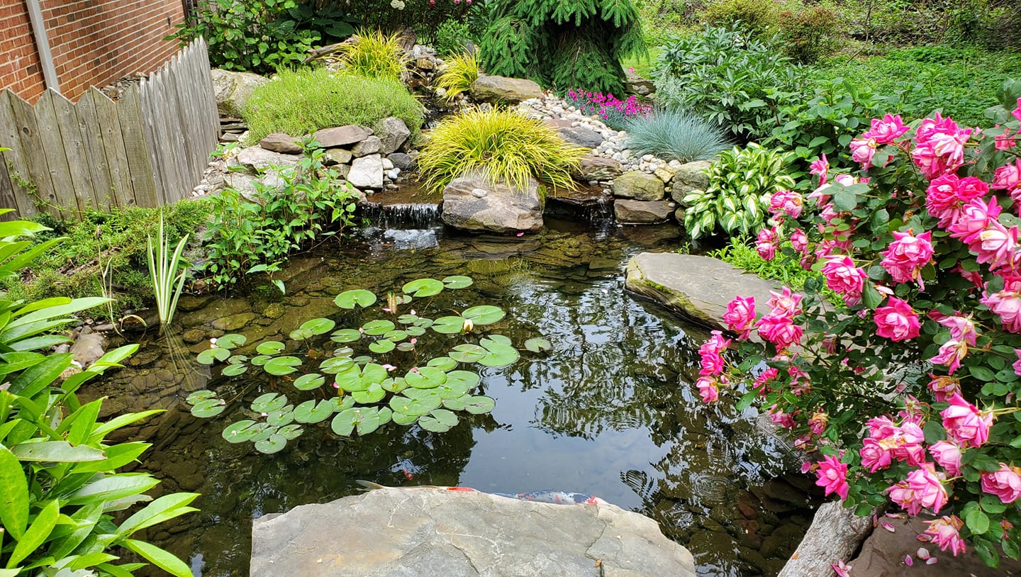 Lighting — Garden Creations project photography, thumbnail 7