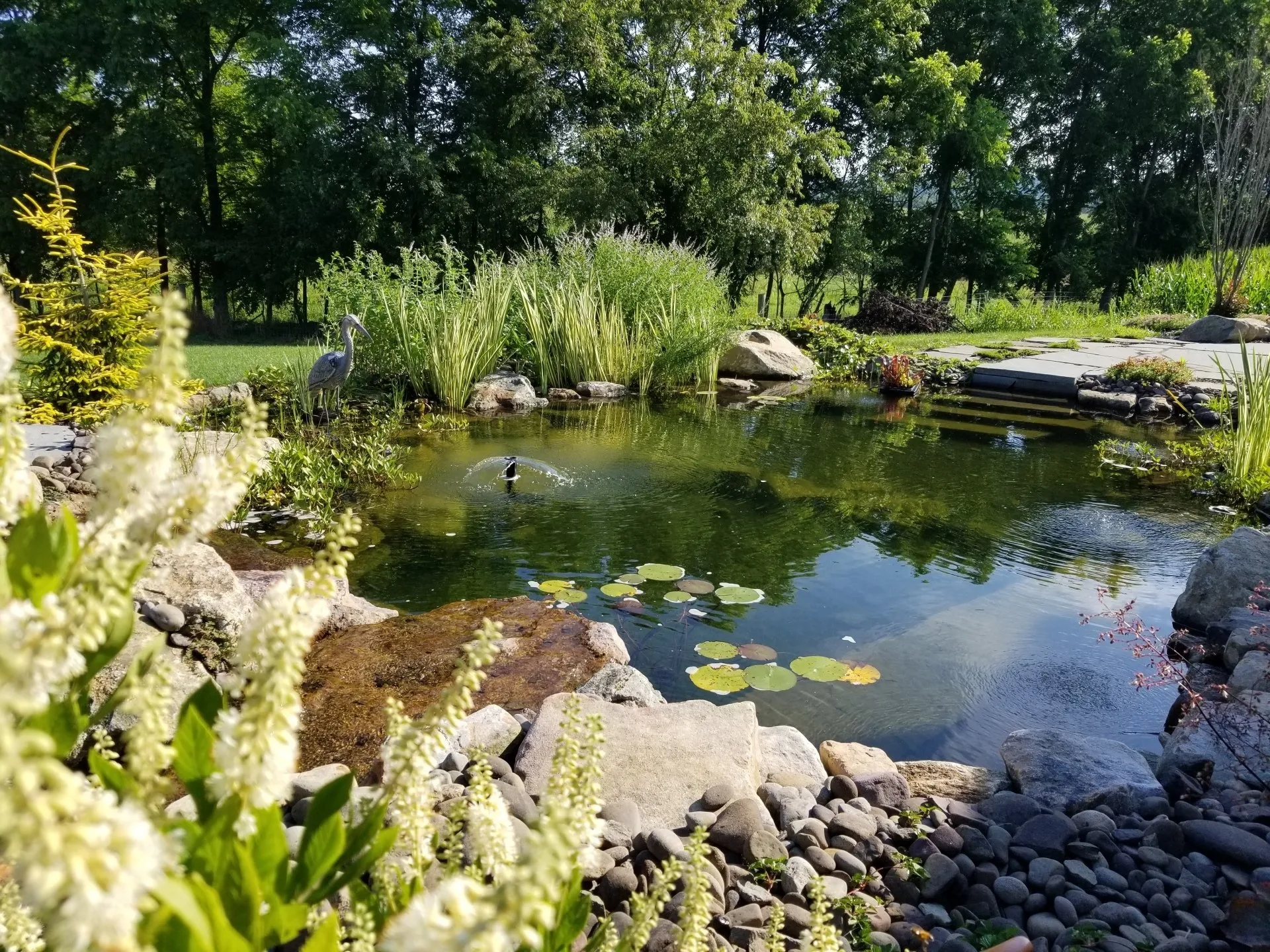 Water Features — Garden Creations project photography, thumbnail 5