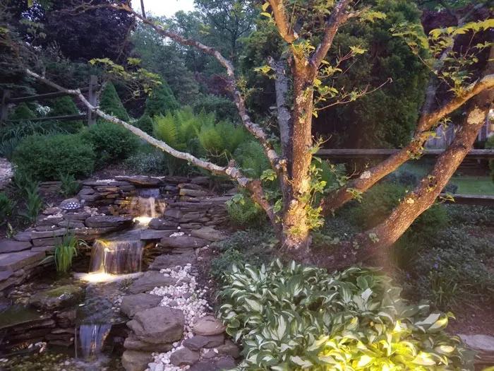 Lighting — Garden Creations project photography, thumbnail 3